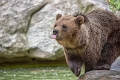 ours (2)